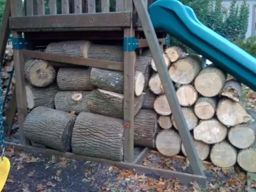 [Hearth.com] My new woodshed is also a swing set, pics attached.