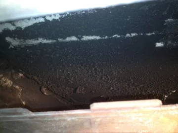 [Hearth.com] Baffle Cleaning (Pics)