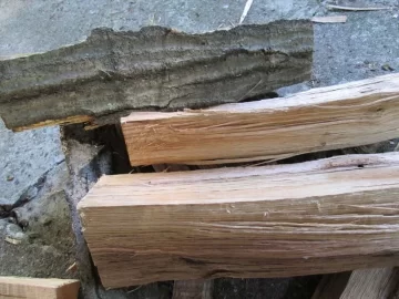 [Hearth.com] What is the easy-splitting wood