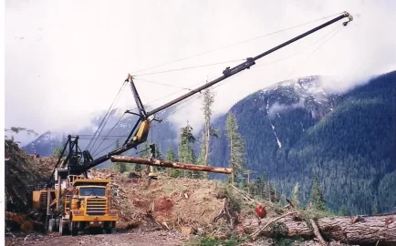 [Hearth.com] This Gasifier burns wood, pellets, and wood chips