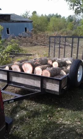 [Hearth.com] Lots of ash trees to be cut down!