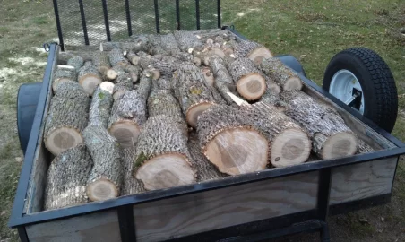 [Hearth.com] Lots of ash trees to be cut down!