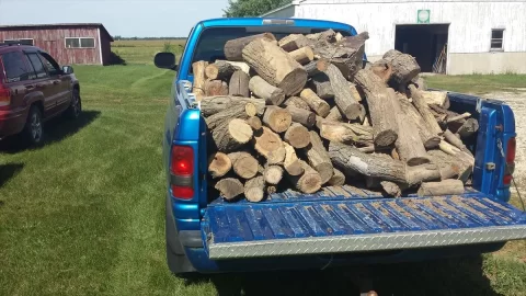 [Hearth.com] Hit the jackpot of wood !