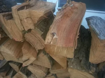 [Hearth.com] More free wood - Help with tree ID