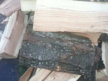 [Hearth.com] More free wood - Help with tree ID