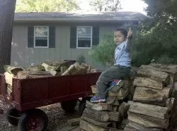 [Hearth.com] Stocking the wood shed