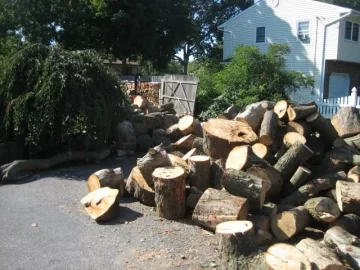 [Hearth.com] Free wood on Long Island