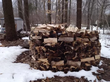 [Hearth.com] My first holz hausen