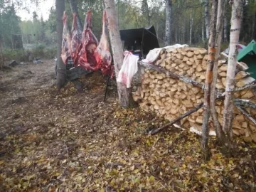 [Hearth.com] Fire wood & moose at moose camp - picture