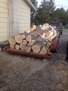 [Hearth.com] My tree guy just called!