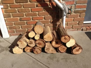 [Hearth.com] 'Cheap' firewood.......