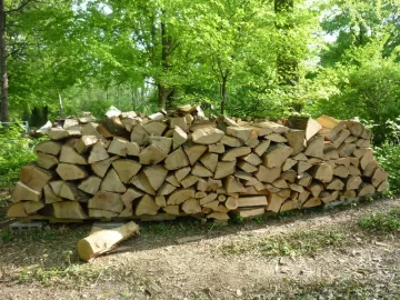 [Hearth.com] First post & first wood stack