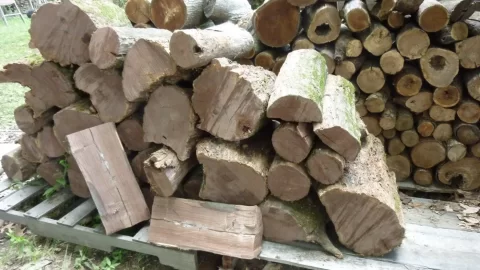 [Hearth.com] First post & first wood stack