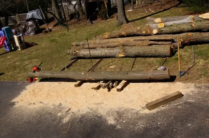 [Hearth.com] Buy Tree Length Logs or Buy Already Split firewood