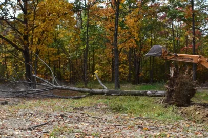 [Hearth.com] cutting firewood its nice to have a friend