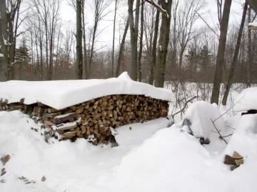 [Hearth.com] How to store wood