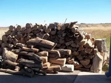 [Hearth.com] My embarrassing wood pile!