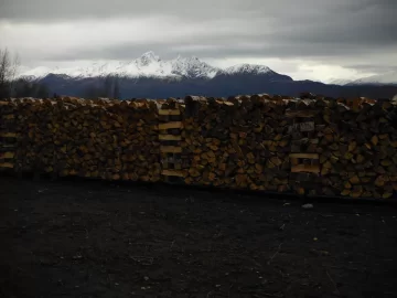 [Hearth.com] Stacked some birch today. pics