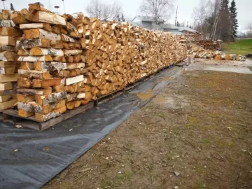 [Hearth.com] Stacked some birch today. pics