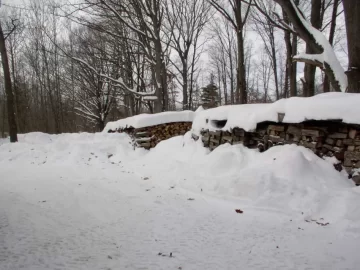 [Hearth.com] Getting the winter's wood ready