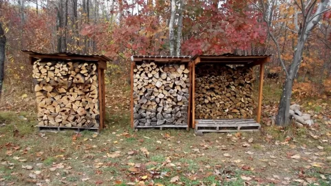 [Hearth.com] My intro and some pics of the wood piles