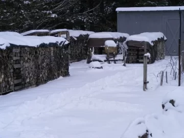 [Hearth.com] Getting the winter's wood ready