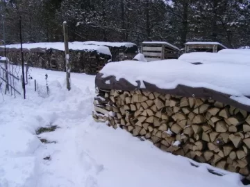 [Hearth.com] Getting the winter's wood ready