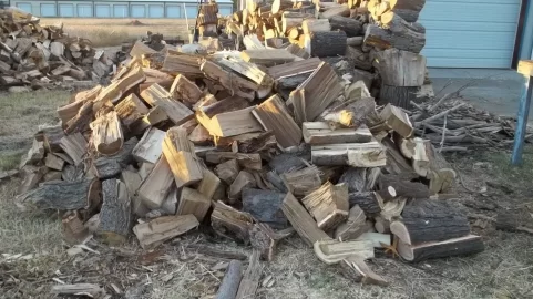 [Hearth.com] My embarrassing wood pile!