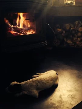 [Hearth.com] My dog approves of the Fireside ultras