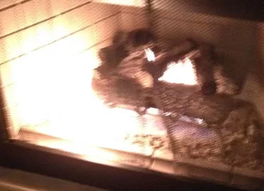 [Hearth.com] Fireplace thinks it's a flamethrower.