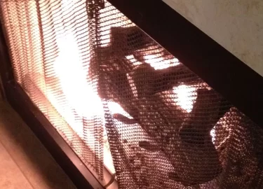 [Hearth.com] Fireplace thinks it's a flamethrower.