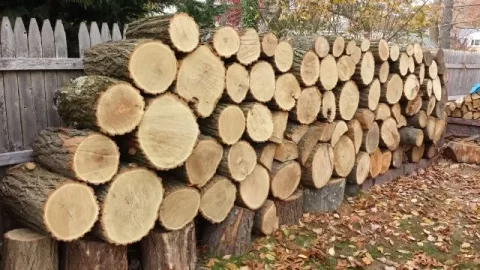 [Hearth.com] White Oak or Black Locust