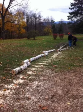 [Hearth.com] Cutting some white birch