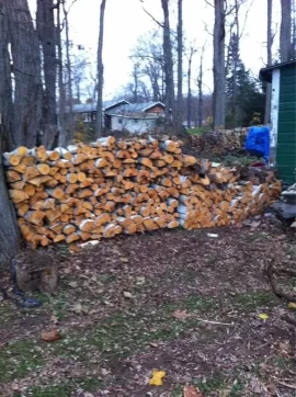 [Hearth.com] Cutting some white birch