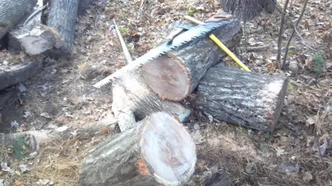 [Hearth.com] Log Lifting