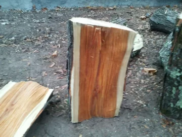 [Hearth.com] Black Walnut. Firewood or is it worth money?