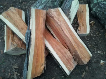 [Hearth.com] Black Walnut. Firewood or is it worth money?