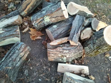 [Hearth.com] Black Walnut. Firewood or is it worth money?