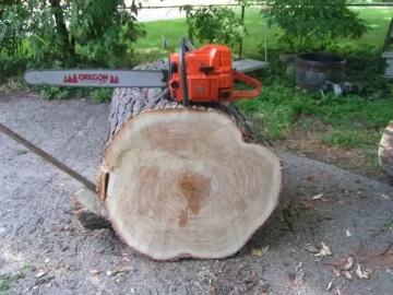 [Hearth.com] Black Walnut. Firewood or is it worth money?