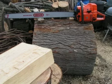 [Hearth.com] Black Walnut. Firewood or is it worth money?