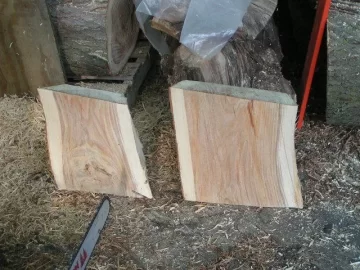 [Hearth.com] Black Walnut. Firewood or is it worth money?