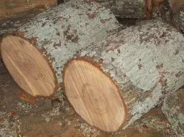 [Hearth.com] Is this some oak firewood ?