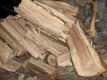 [Hearth.com] Is this some oak firewood ?