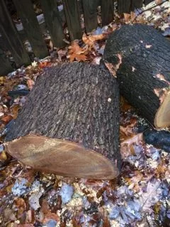 [Hearth.com] First wood ID thread