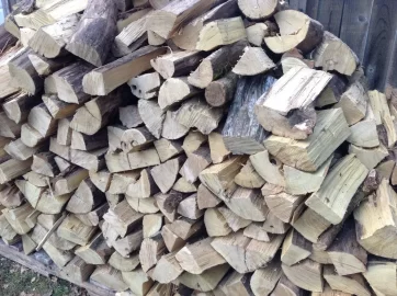 [Hearth.com] Time to dry Black Locust Rounds