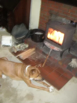 [Hearth.com] Great Dane knows where it's warm...