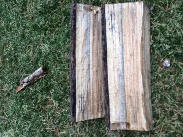 [Hearth.com] Help with wood ID