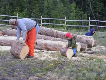 [Hearth.com] Do you bring your kids to cut wood?