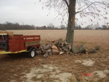 [Hearth.com] Anyone around elwood Indiana want to help cut wood!