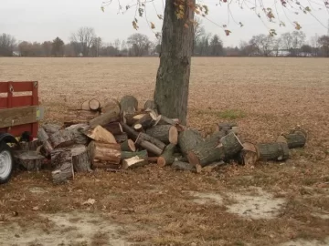 [Hearth.com] Pictures of your wood stack please